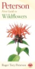 Peterson_first_guide_to_wildflowers_of_northeastern_and_north-central_North_America