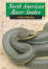North_American_racer_snakes