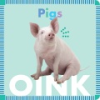 Pigs_oink
