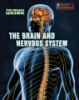 The_brain_and_nervous_system