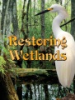Restoring_wetlands