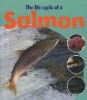 The_life_cycle_of_a_salmon