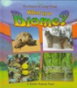 What_is_a_biome_