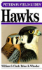 A_field_guide_to_hawks__North_America
