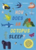 How_does_an_octopus_sleep_
