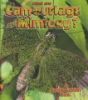 What_are_camouflage_and_mimicry_