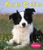 Border_collies