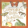 Caterpillars__bugs__and_butterflies