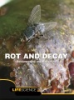 Rot_and_decay