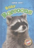 Baby_raccoons