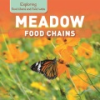 Meadow_food_chains