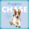 Puppies_chase