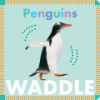 Penguins_waddle