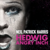 Hedwig_And_The_Angry_Inch_Original_Broadway_Cast_Recording