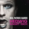 Hedwig_and_the_Angry_Inch
