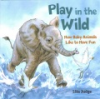 Play_in_the_wild