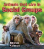 Animals_that_live_in_social_groups