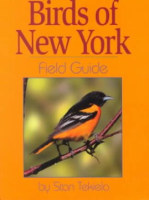 Birds_of_New_York