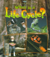 What_is_a_life_cycle_