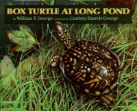 Box_Turtle_at_Long_Pond