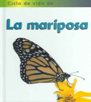Ciclo_de_vida_de_La_mariposa