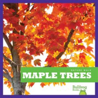 Maple_Trees